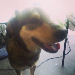 Meet your Posher, Dawn